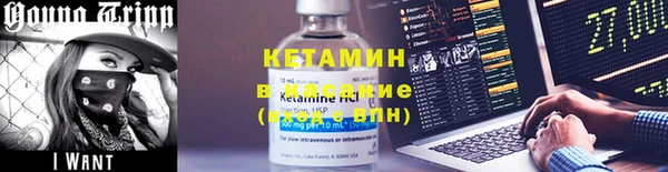 трава Няндома