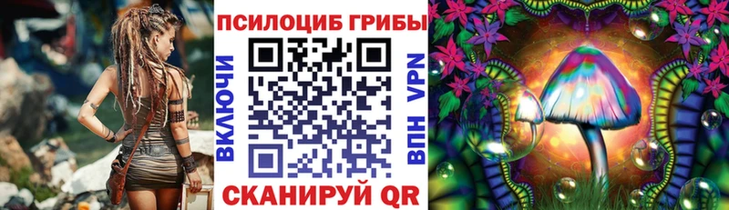 Галлюциногенные грибы Cubensis  Купить закладки  Сухой Лог 